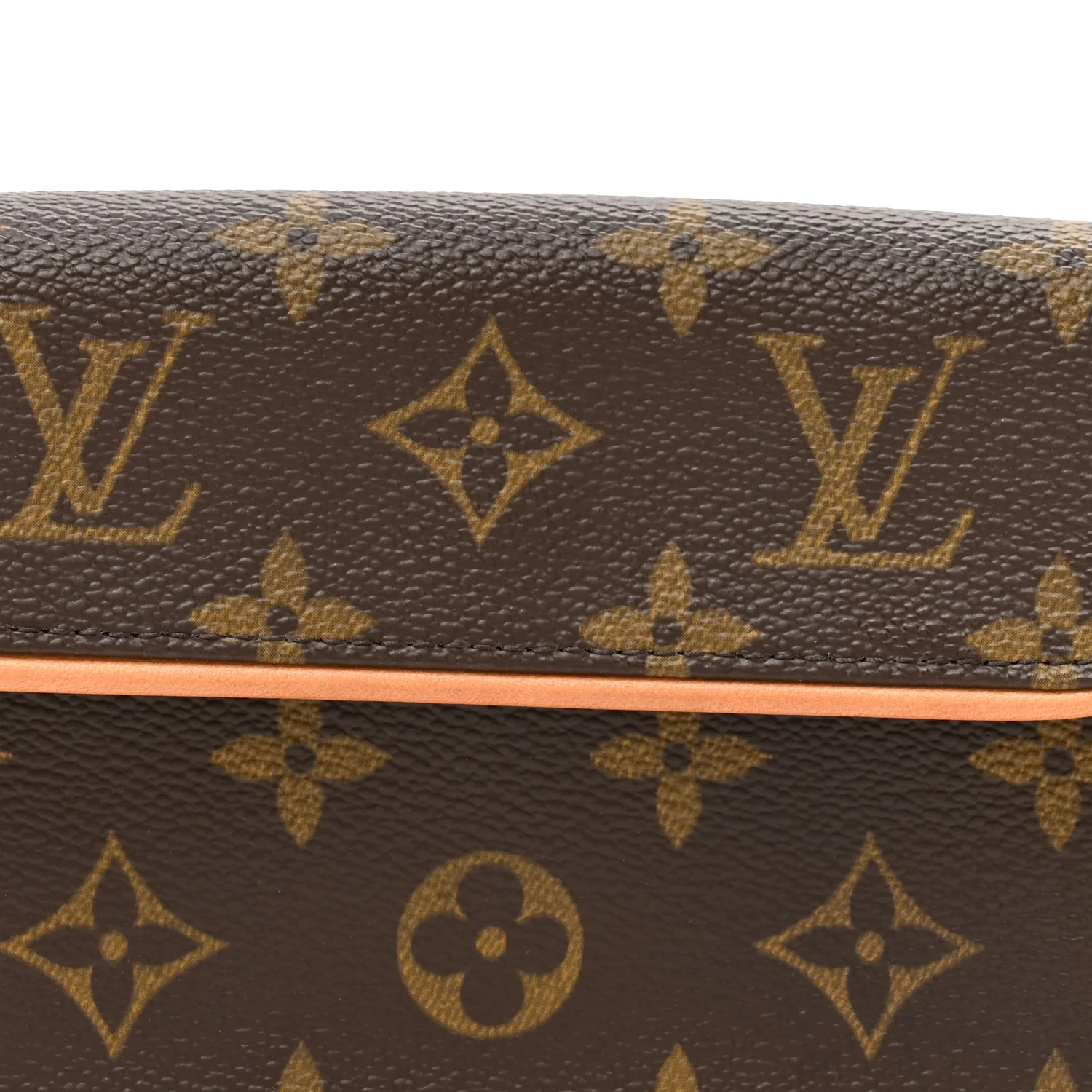 Monogram Pochette Florentine M - Image 7